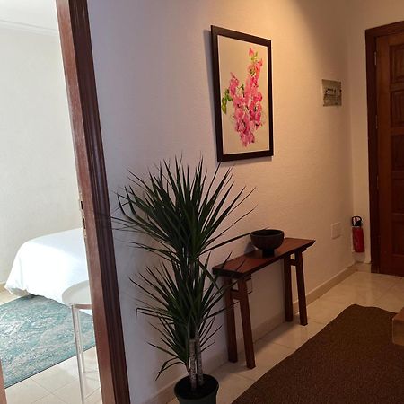 Cozy Lägenhet Santa Cruz de Tenerife Exteriör bild