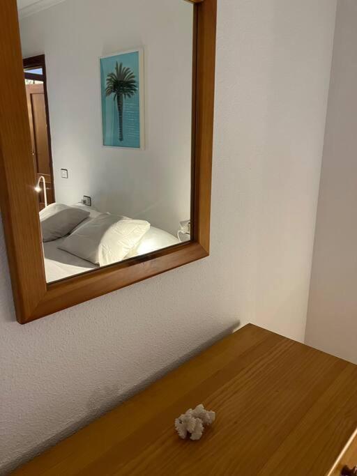 Cozy Lägenhet Santa Cruz de Tenerife Exteriör bild