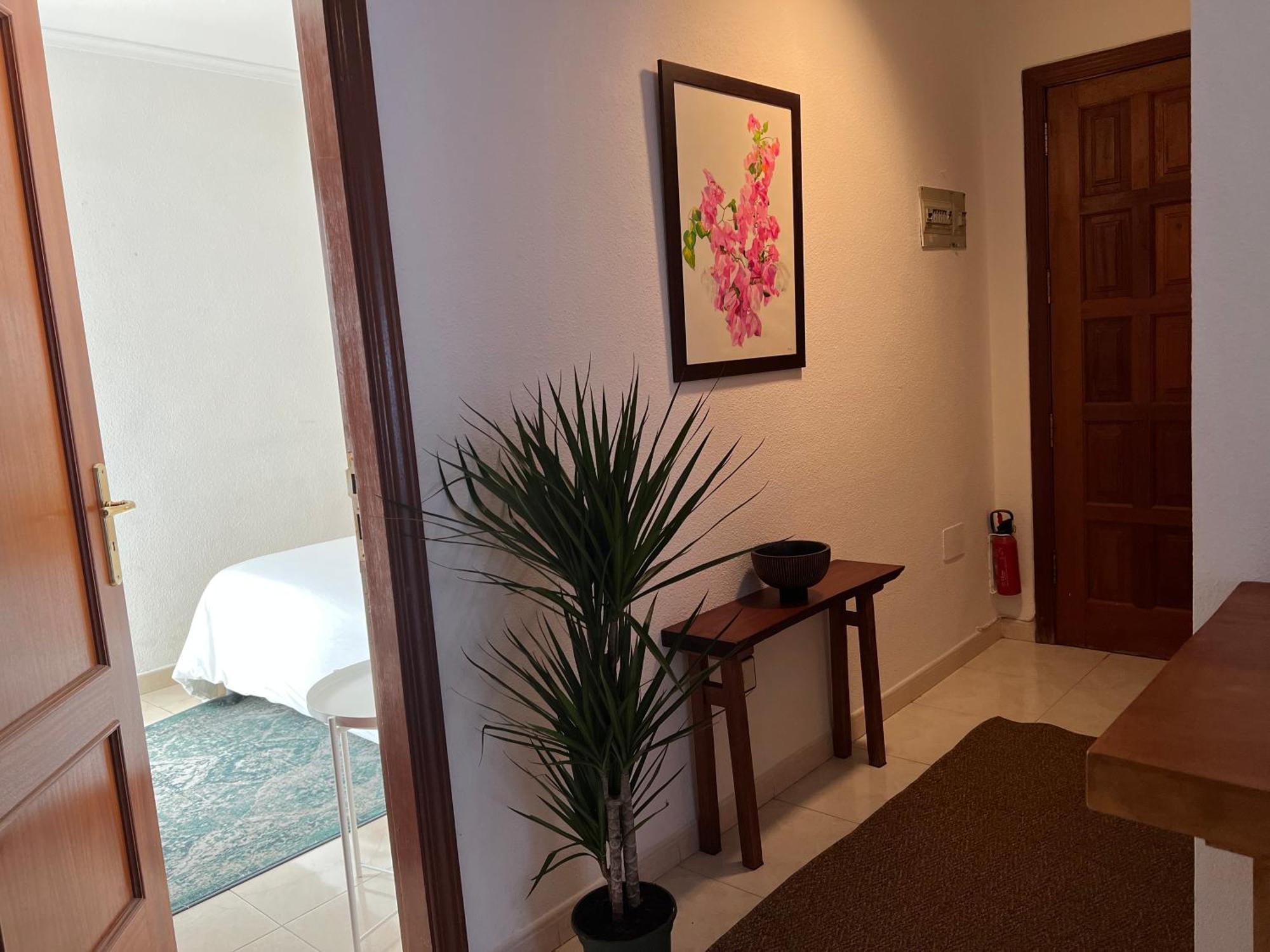 Cozy Lägenhet Santa Cruz de Tenerife Exteriör bild