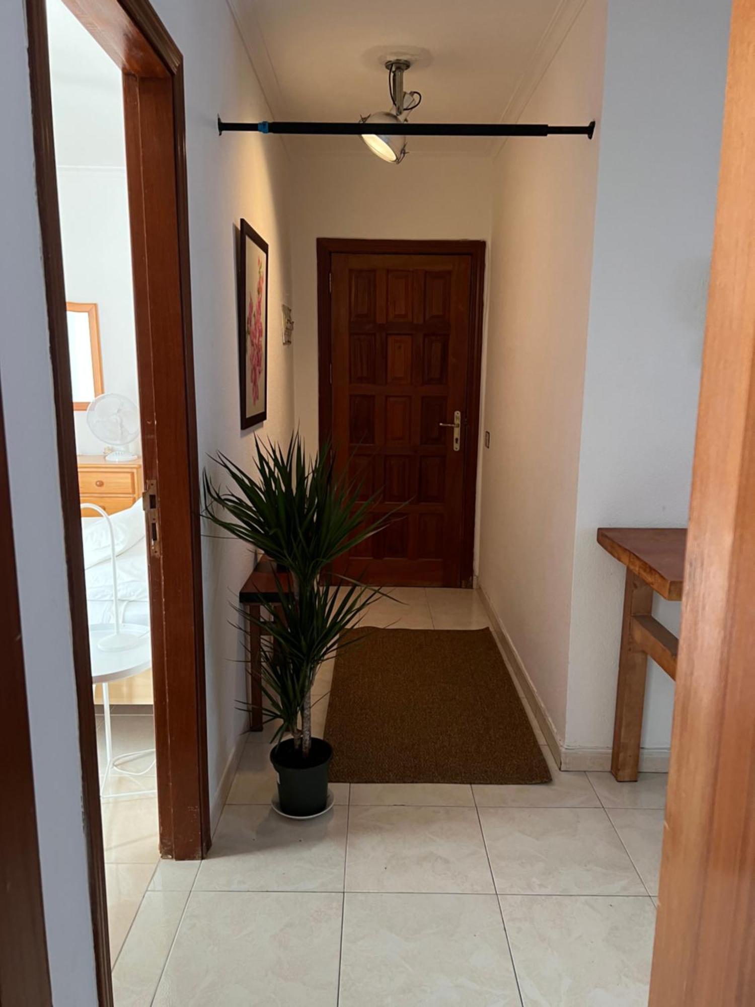 Cozy Lägenhet Santa Cruz de Tenerife Exteriör bild